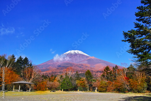 紅葉シーズンの富士山、富士スカイラインの水ケ塚公園から見る風景