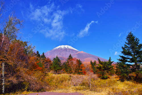 紅葉シーズンの富士山、富士スカイラインの水ケ塚公園から見る風景