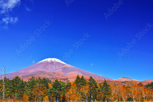 紅葉シーズンの富士山、富士スカイラインの水ケ塚公園から見る風景