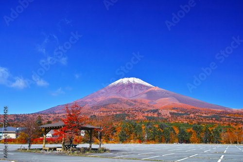 紅葉シーズンの富士山、富士スカイラインの水ケ塚公園駐車場から見る風景