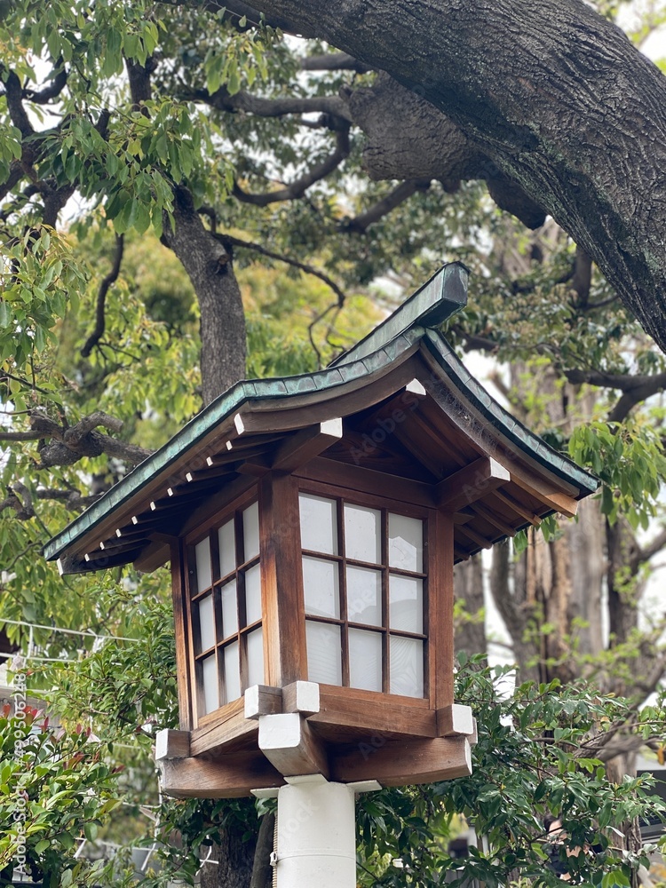 Lantern at the shrine of Japan, Otori shrine, Tokyo, year 2022 spring Lantern at the shrine of Japan, Otori shrine, Tokyo, year 2022 spring