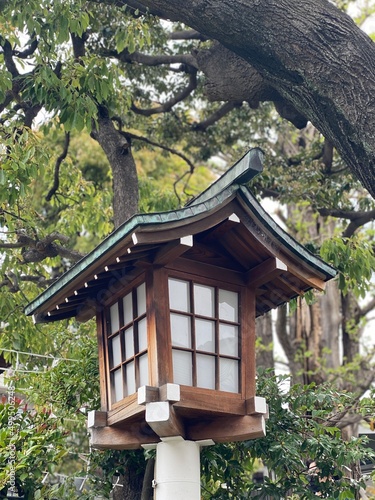 Lantern at the shrine of Japan, Otori shrine, Tokyo, year 2022 spring © KAYO SUGIUCHI