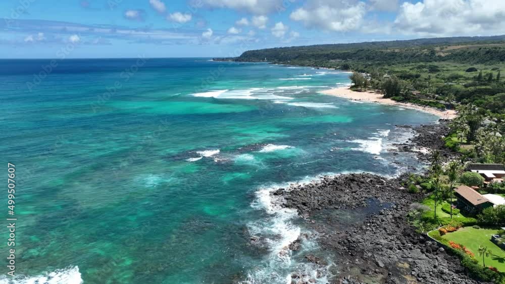 Natural Turtle Bay, Oahu, Hawaii with Hawain green turtles swimming in the water Natural Turtle Bay, Oahu, Hawaii with Hawain green turtles swimming in the water