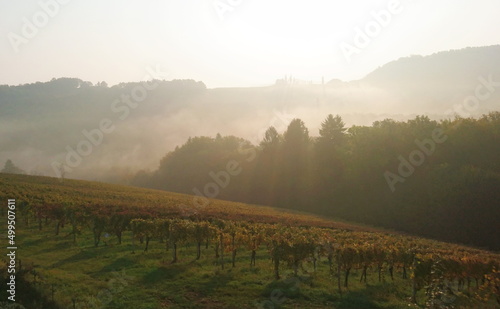 Leicht nebliger Sonnenaufgang