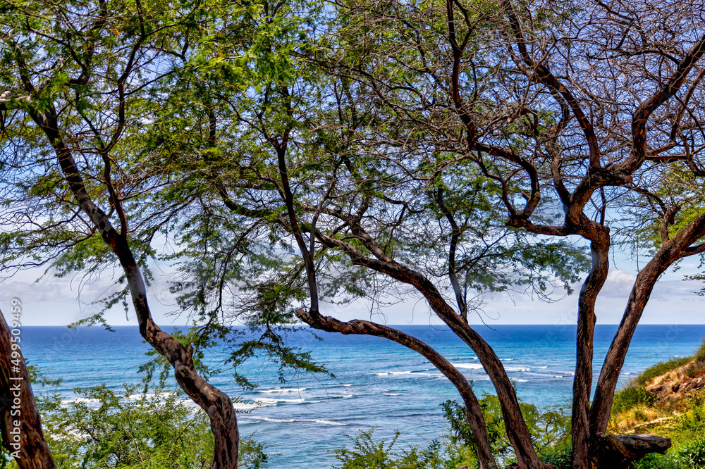 Landscapes atop and around Diamond Head volcanic crater on Oahu