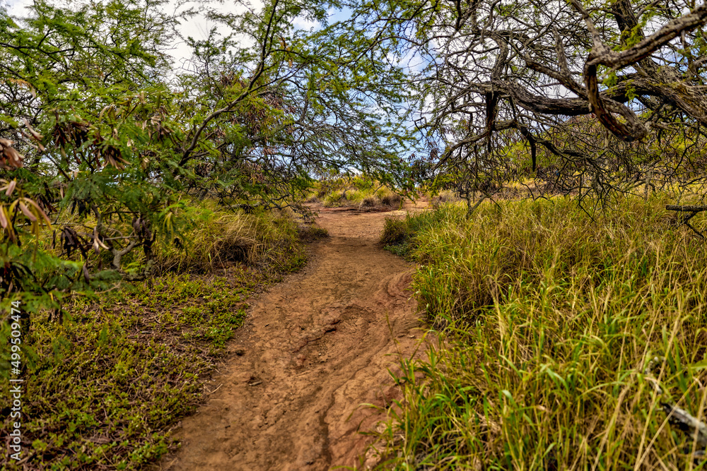 Scenery around Hanauma Bay and Koko Crater on Oahu Scenery around Hanauma Bay and Koko Crater on Oahu