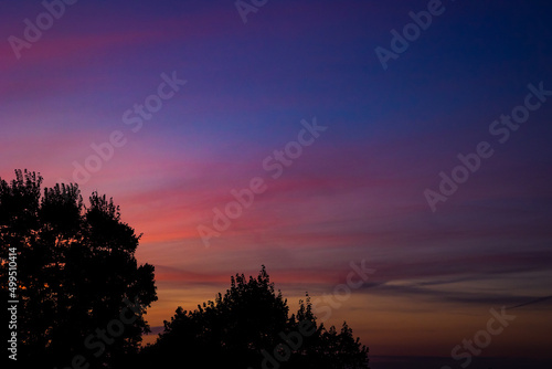 Dramatic sunset or sunrise background photo. Silhouette of the trees