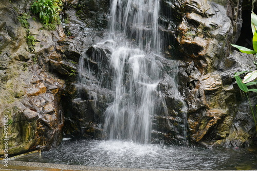 waterfall in the forest