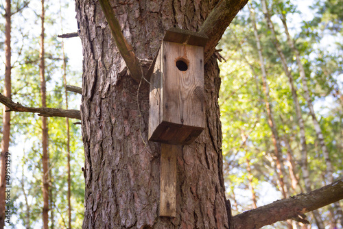 A wooden birdhouse on big old tree in park or forest in sunny spring day.