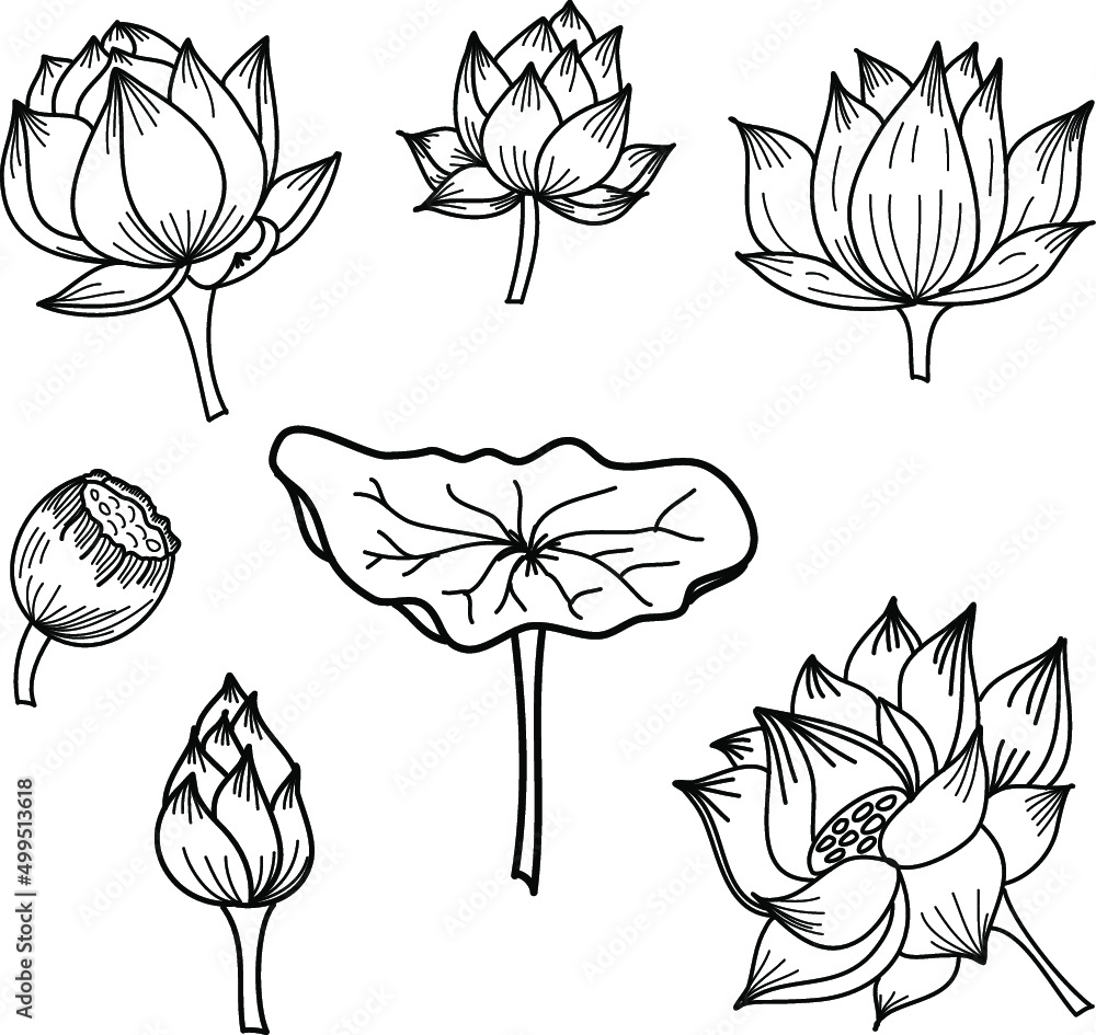 circle hand drawn lotus flower ,vector for coloring book and zentangle ...