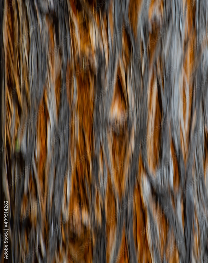 abstract motion blur of close up of tree with splitting bark special movement effect crested by intentional camera movement vertically with long time exposure fun with shutter speed rust and grey abstract motion blur of close up of tree with splitting bark special movement effect crested by intentional camera movement vertically with long time exposure fun with shutter speed rust and grey