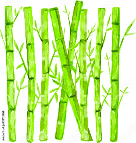 Green bamboo with leaves for background