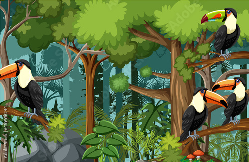 Forest scene with toucan bird family