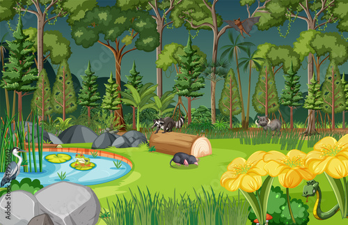 Forest scene with wild animals