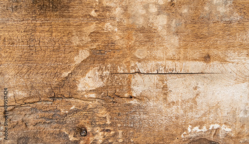 Wallpaper Mural texture of the old spoiled wood damaged Torontodigital.ca