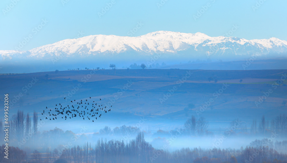 Morning landscape with misty silhouettes of mountains and hills, forest with trees and flying bird - Misty landscape mountain fog and birds flying in the sky
