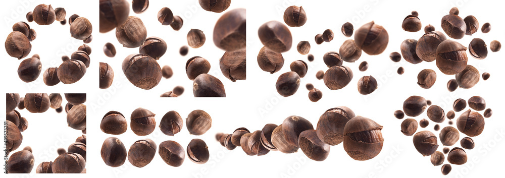 A set of photos. Ripe chestnuts levitate on a white background A set of photos. Ripe chestnuts levitate on a white background