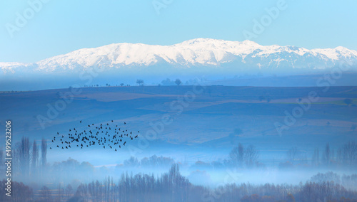 Morning landscape with misty silhouettes of mountains and hills  forest with trees and flying bird - Misty landscape mountain fog and birds flying in the sky