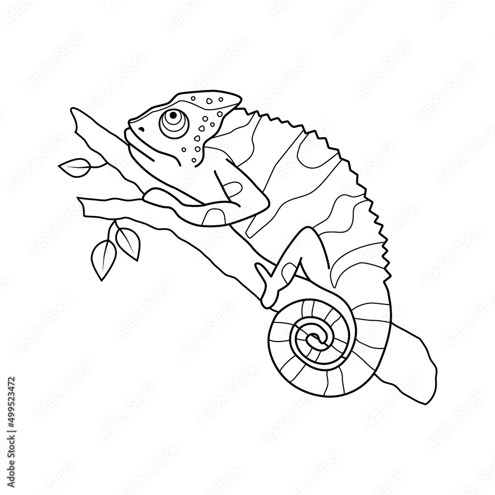 Obraz premium Stock vector chameleon sitting on a tree branch black and white outline hand drawn illustration
