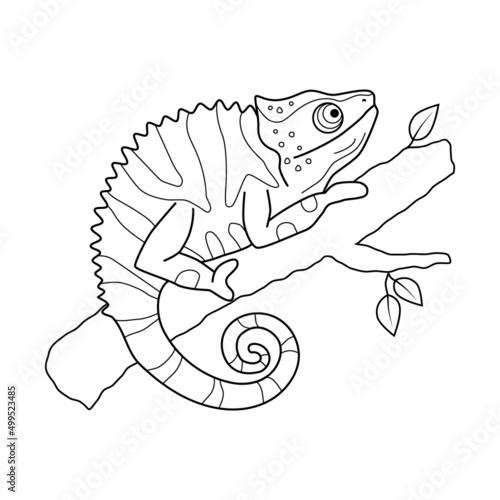 Stock vector funny chameleon sitting on a tree branch outline hand drawn illustration