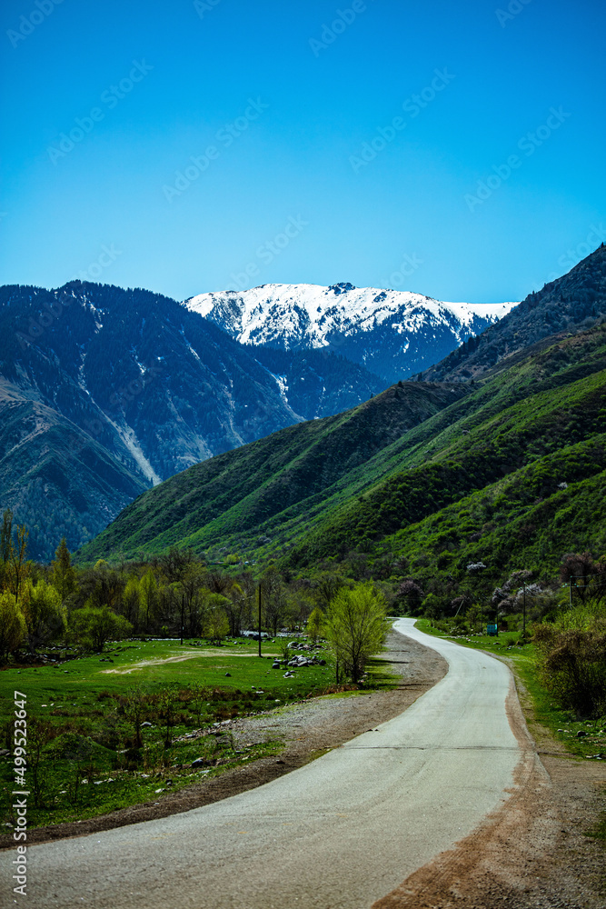 Fototapeta premium mountain road in the mountains