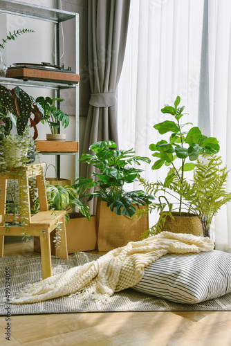 Obraz na płótnie Artificial plant, Indoor tropical natural houseplant for home interior and air purification, Green corner in living room. w salonie