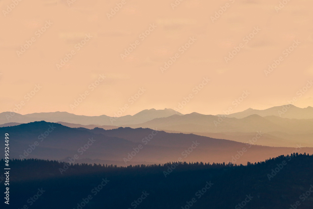 Gradient sunset in gentle pink-orange tones among mountains and pine forest. Ergaki