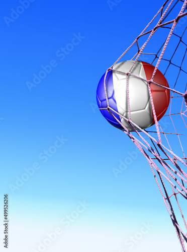 French flag soccer ball in net