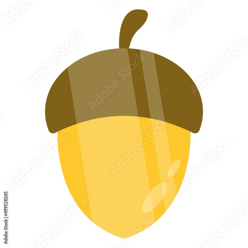 A yummy fruit icon of acorn