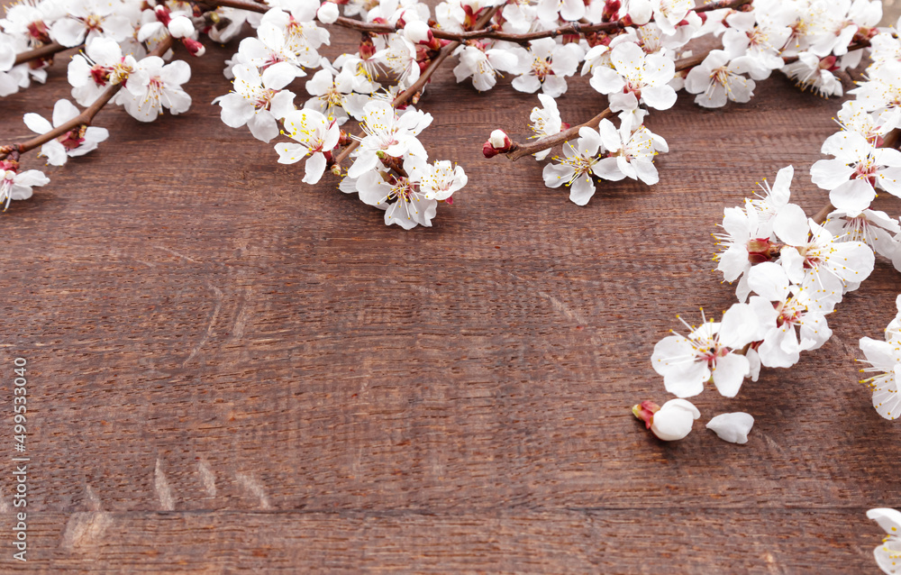 Apricot blossoms on branches on wooden background. Selective focus