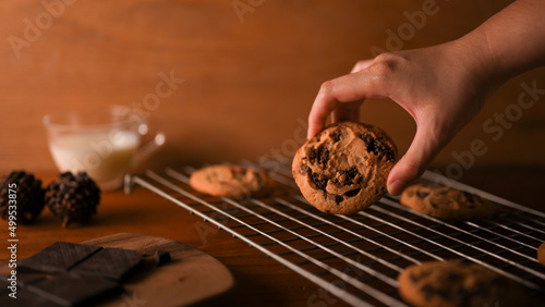 Canvas Female hands picking up a piece of freshly tasty baked chocolate chip cookies
