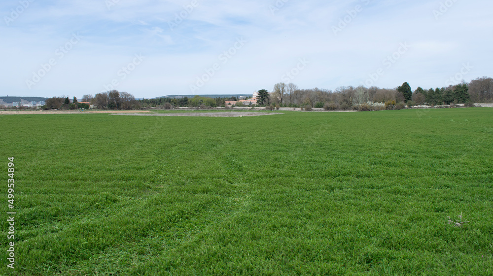 Campos de cultivo verdes de primavera en pradera. Campos de cultivo verdes de primavera en pradera.