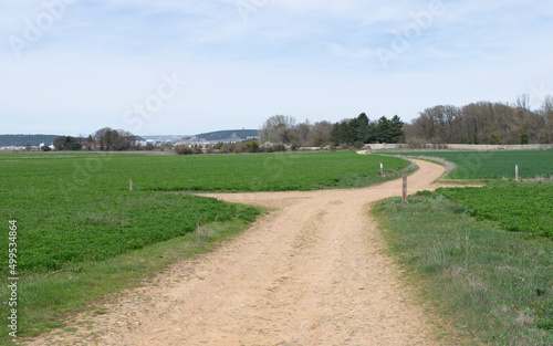 Camino atravesando campos de cultivo en primavera.  © Gabrieuskal