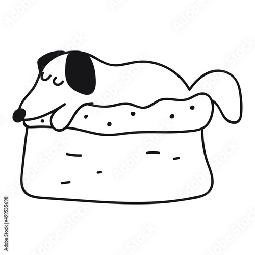 Dachshund sleep in dog's bed. Vector outline illustration on white background.
