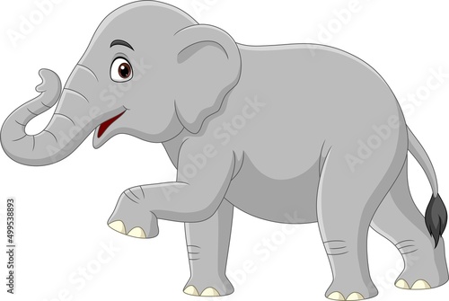 Cartoon elephant isolated on white background 