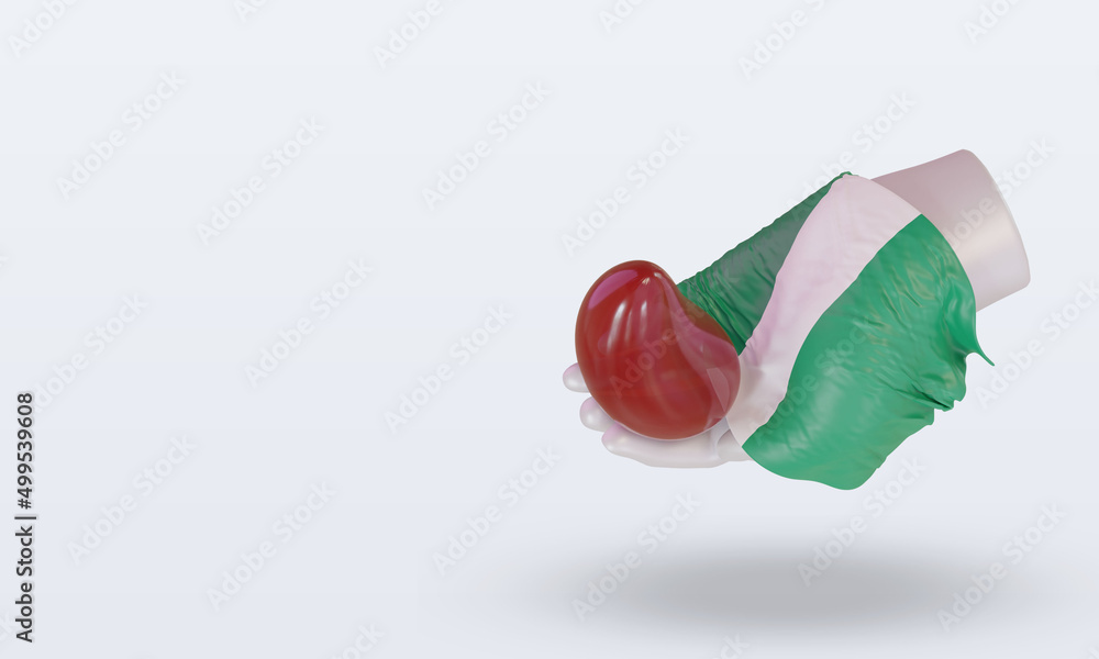 3d world blood donor day Nigeria flag rendering right view