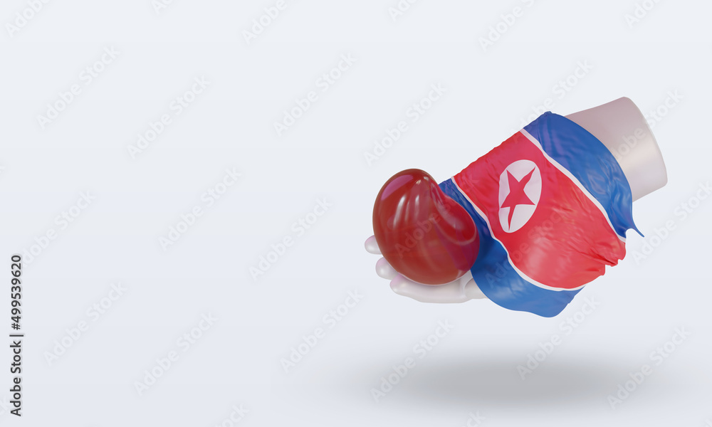 3d world blood donor day North Korea flag rendering right view