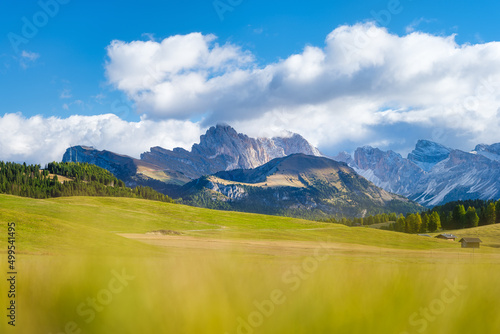 Mountains peaks, forest and meadow. Mountain range and clear blue sky. Italia...
