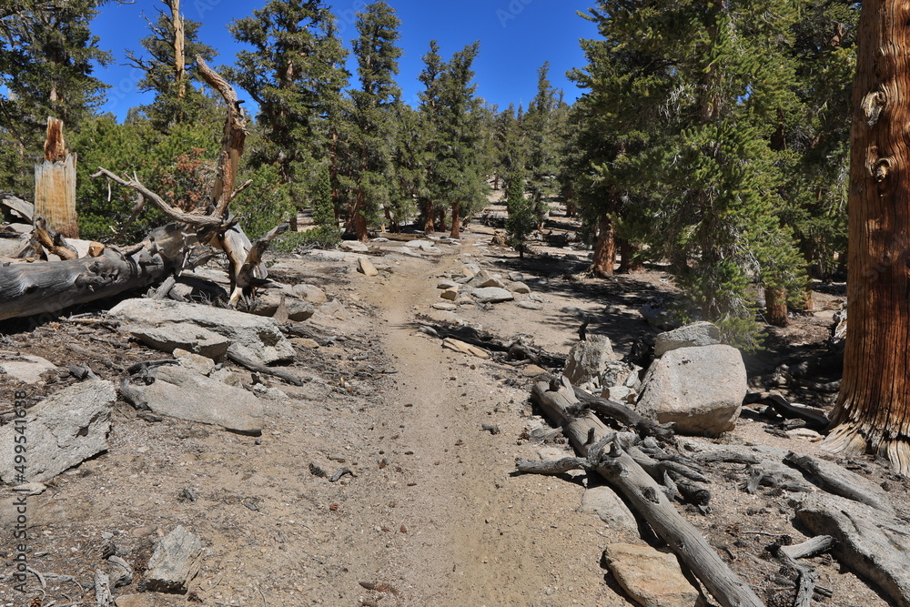 Beautiful Scenery in Sierra, Central California Beautiful Scenery in Sierra, Central California