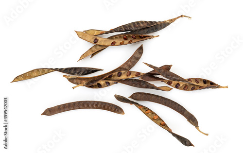 dried bean pods isolated on white background