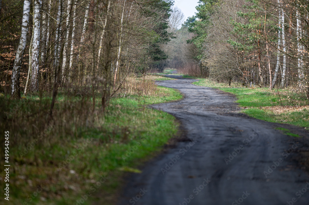A winding road in the forest. Kampinoski National Park, Poland. A winding road in the forest. Kampinoski National Park, Poland.