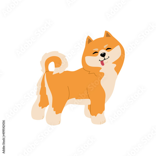 Cute shiba inu dog. Funny japanese smiling animal. Hand drawn colored vector illustration isolated on white background. Modern flat cartoon style.
