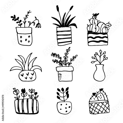 Vector hand drawn flower pots illustrations. Flower drawings. Sketch.
