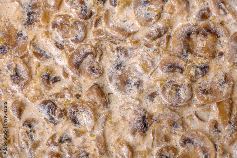 Delicious fresh young champignons sliced into slices in creamy sauce Delicious fresh young champignons sliced into slices in creamy sauce