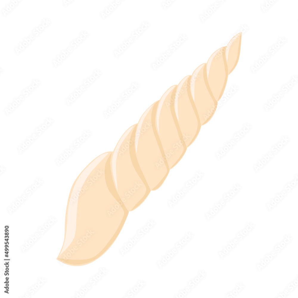 Cute empty seashell flat vector isolated illustration Cute empty seashell flat vector isolated illustration