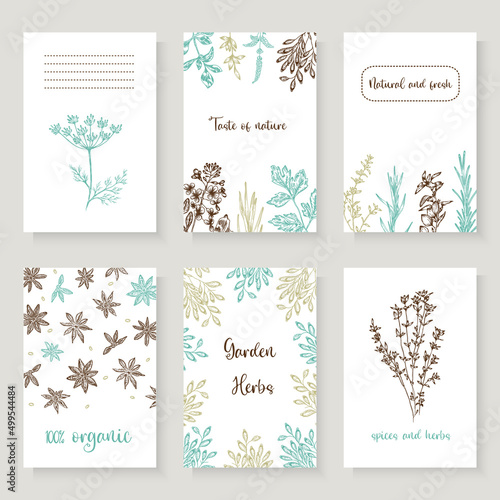 A colorful set of background images with grass and greenery. Bright, colorful hand drawing. 
Vector for menu, restaurant, food and kitchen design.