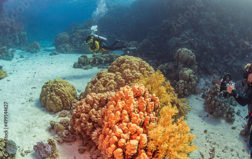 Underwater exploration. Divers dive on a tropical reef with a blue background and beautiful corals.