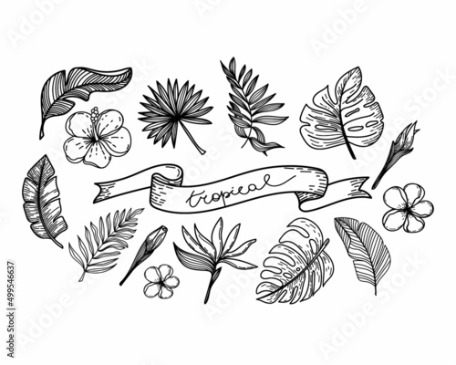 A set of silhouettes of tropical elements of tropical strelitzia flower, hibiscus, monster leaves, etc. The tropical lettering is hand-drawn in ribbon. Hand-drawn doodle-style elements on white.