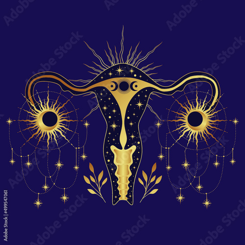 Beautiful female reproductive organs with crescent. Uterus, womb major female reproductive sex organ and stars. Feminism concept. Woman's symbol. 