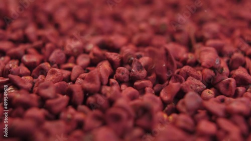 Annatto organic seeds falling in slow motion. Achiote whole grains. Rotation. Bixa Orellana photo